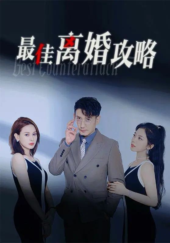 《最佳离婚攻略》：告别鸡肋婚姻，当爱不再，勇敢寻觅人生新篇章