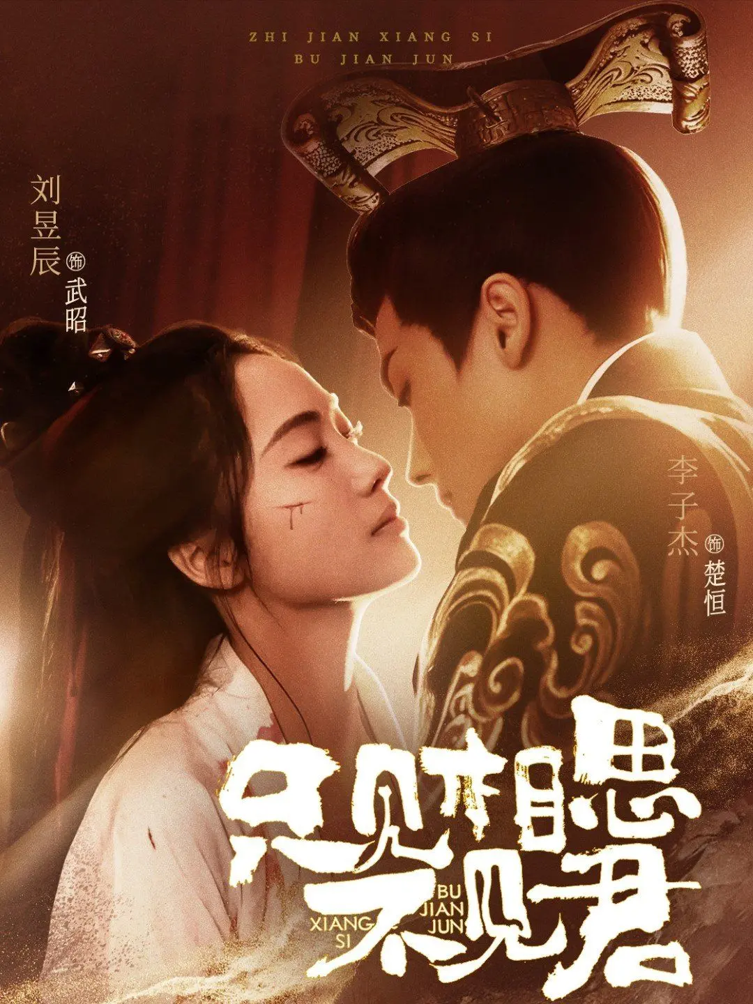 《只见相思不见君》：一段跨越时空的深情告白，多少爱恨缠绵催人泪下